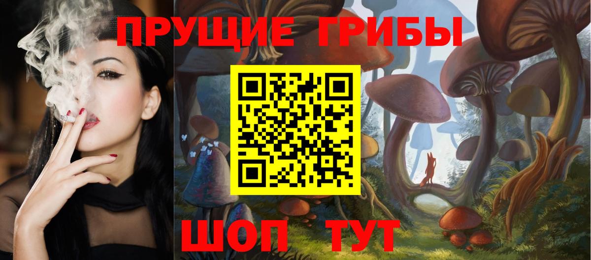 Псилоцибиновые грибы Psilocybine cubensis Богданович